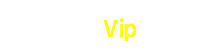 020Vip